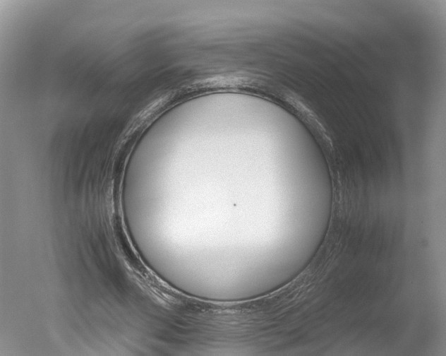 X0000051250486200506170846