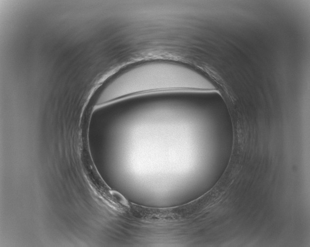 X0000051250488200506170846
