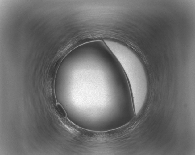 X0000051250489200506170846