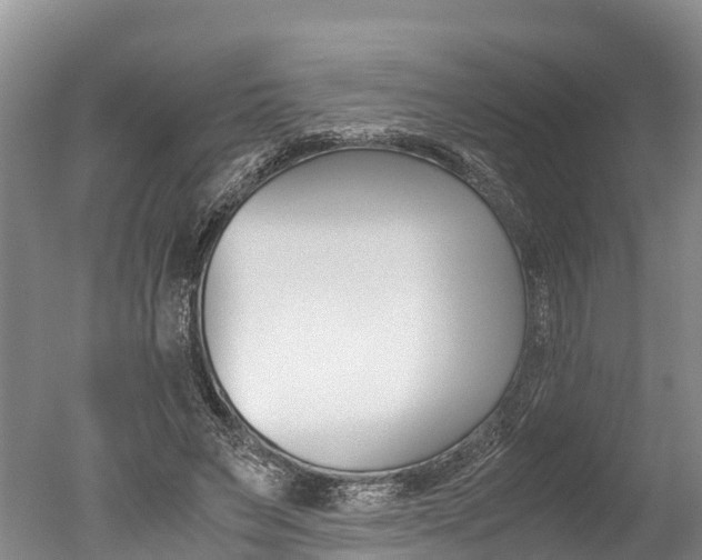 X0000051250495200506170845