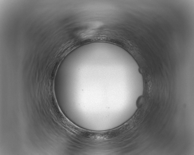 X0000051250498200506170845