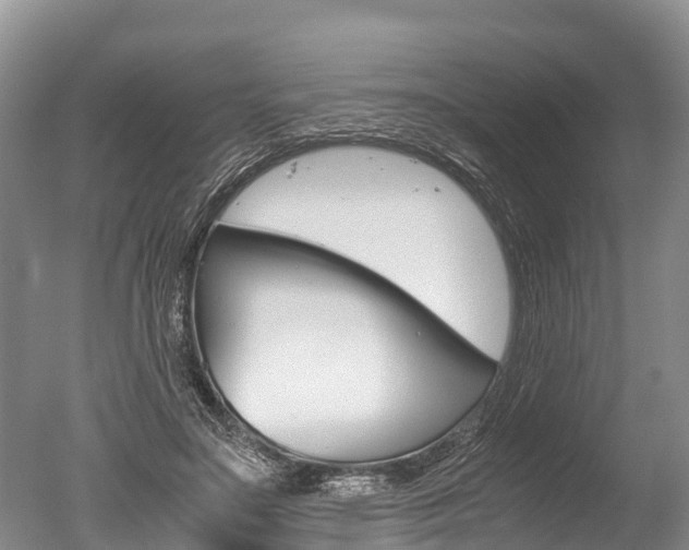 X0000051250499200506170845