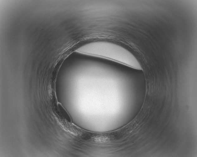 X0000051250500200506170845