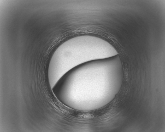 X0000051250503200506170845