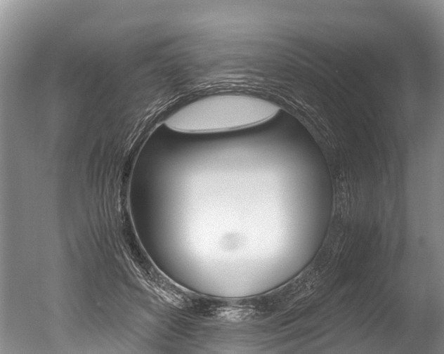 X0000051250504200506170845