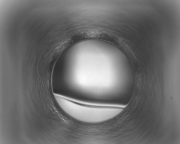 X0000051250505200506170845