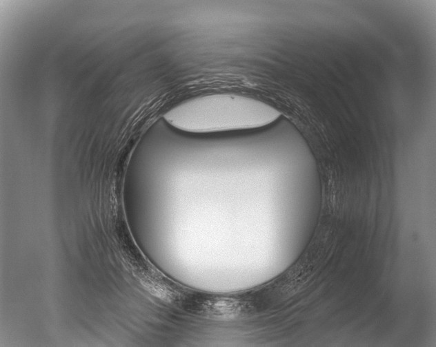 X0000051250506200506170845