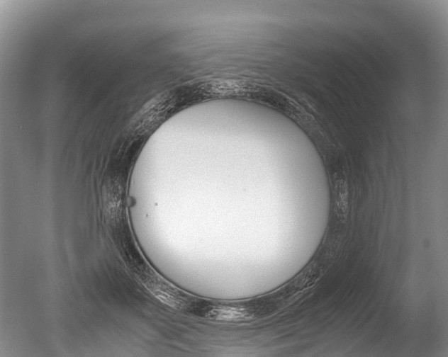 X0000051250507200506170845