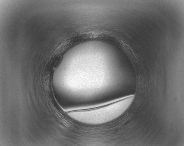 X0000051250509200506170845