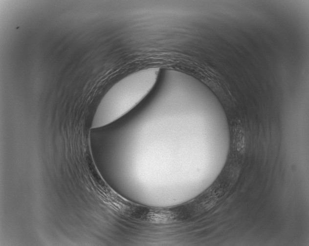 X0000051250510200506170845