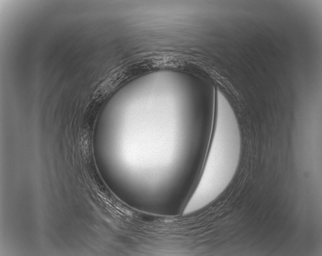 X0000051250513200506170845