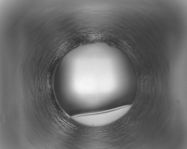 X0000051250516200506170845