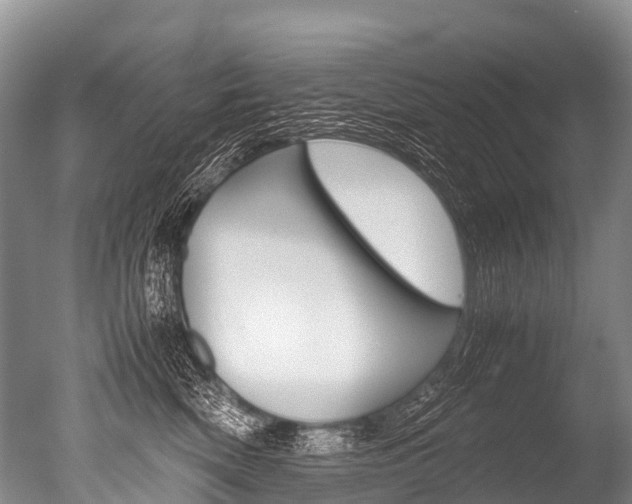 X0000051250522200506170845