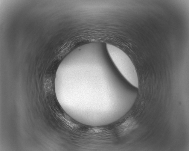X0000051250523200506170845