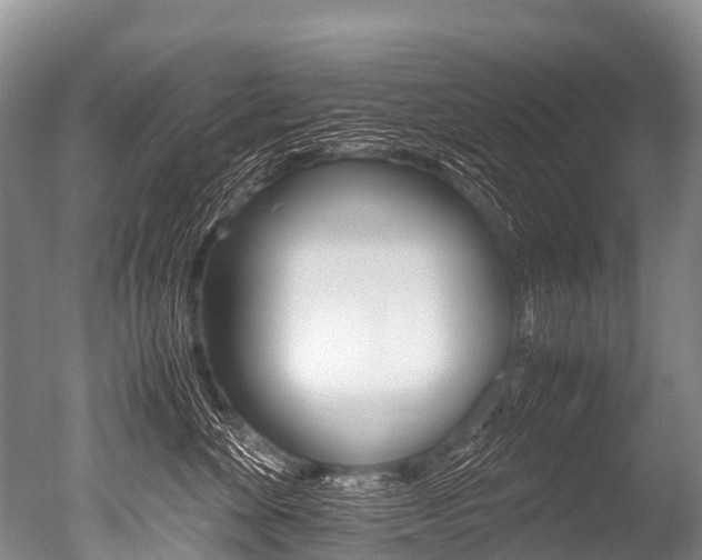 X0000051250524200506170845