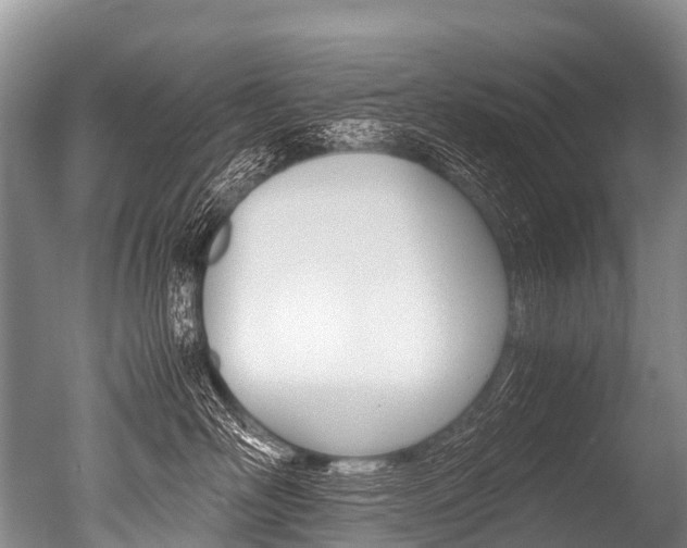 X0000051250526200506170845