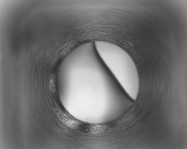 X0000051250527200506170845