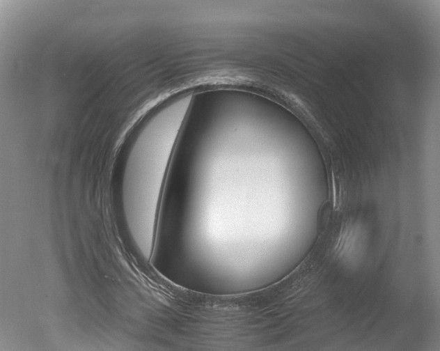 X0000051250531200506170844