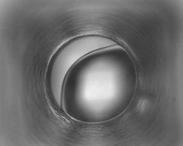 X0000051250532200506170844