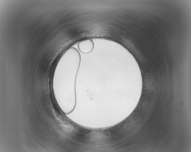 X0000051250534200506170844