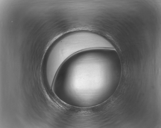 X0000051250536200506170844
