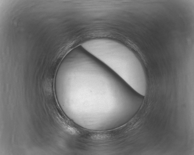 X0000051250537200506170844