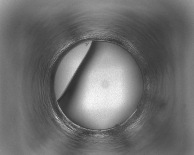X0000051250542200506170844