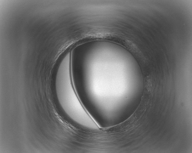 X0000051250544200506170844