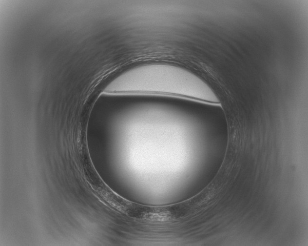 X0000051250548200506170844
