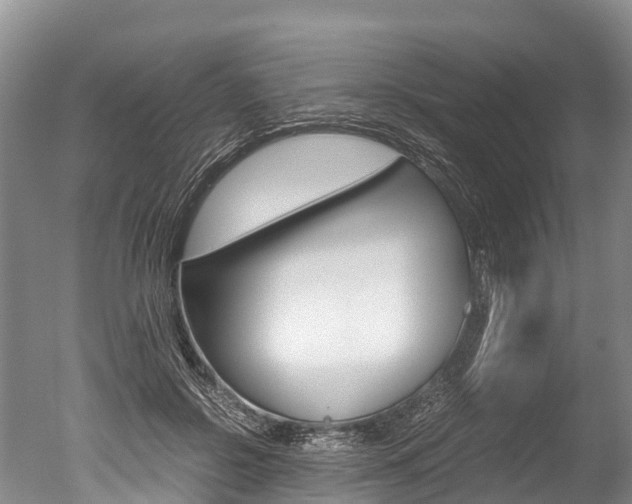 X0000051250550200506170844
