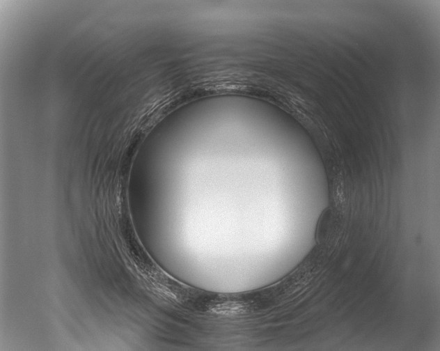 X0000051250551200506170844