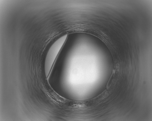 X0000051250552200506170844