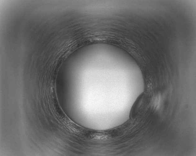 X0000051250555200506170845
