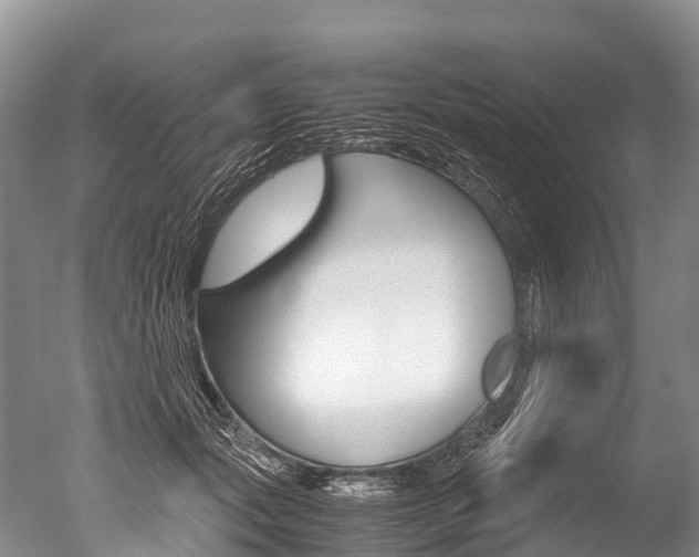 X0000051250557200506170845