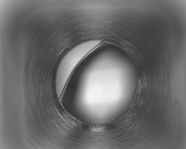 X0000051250560200506170845