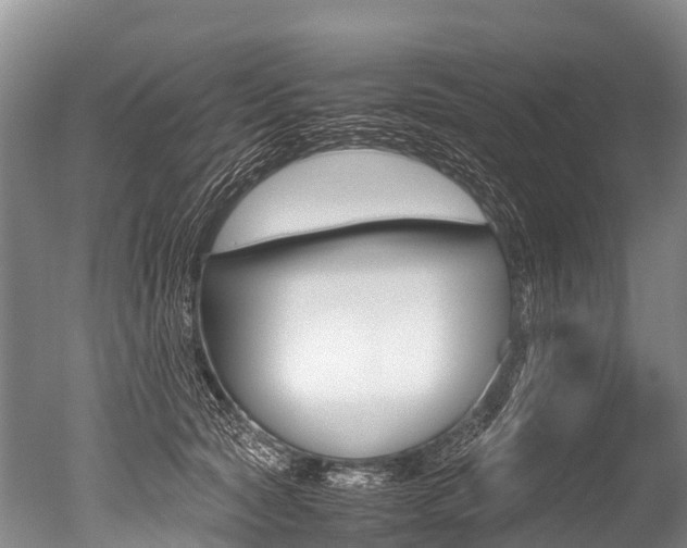 X0000051250561200506170845
