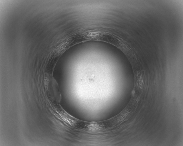 X0000051250562200506170845