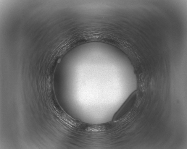 X0000051250563200506170845