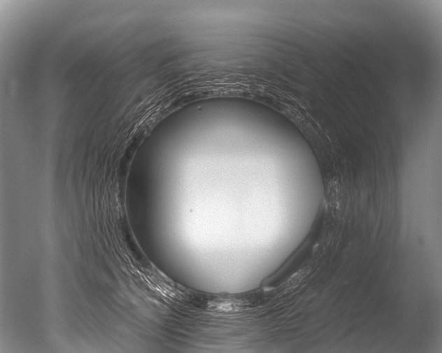 X0000051250564200506170845