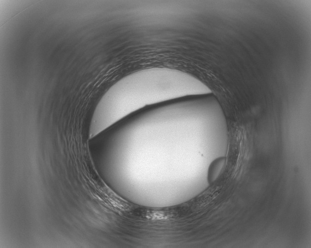 X0000051250565200506170845
