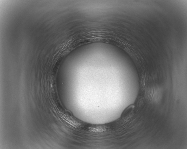 X0000051250567200506170845