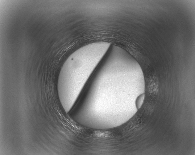 X0000051250569200506170845