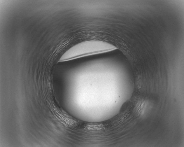 X0000051250571200506170845