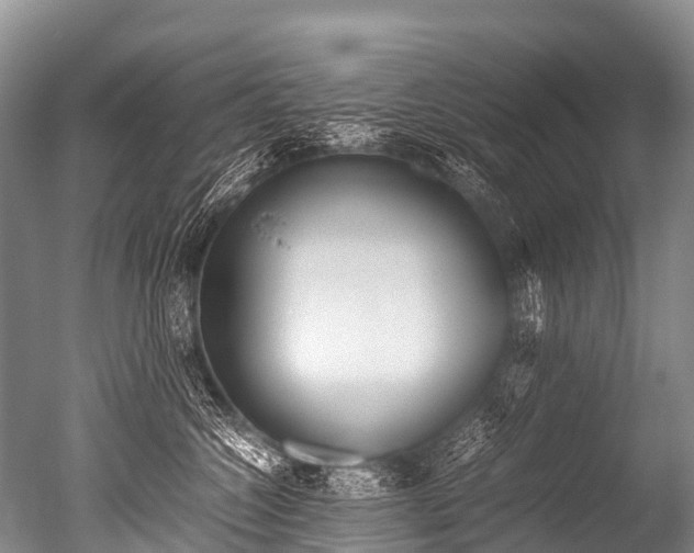 X0000051250572200506170845