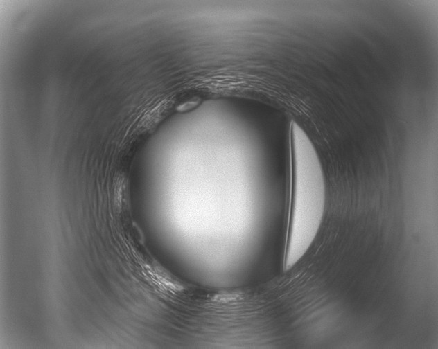 X0000051250574200506170845