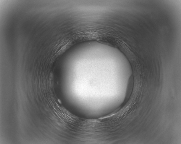 X0000051250576200506170845