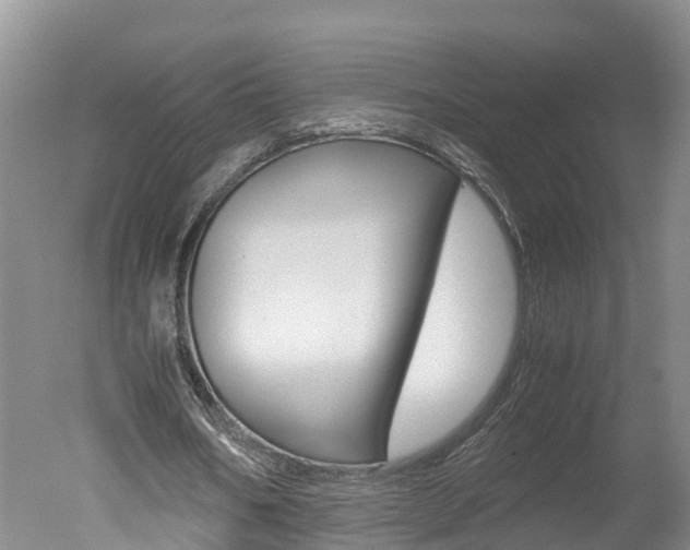 X0000051250578200506170844