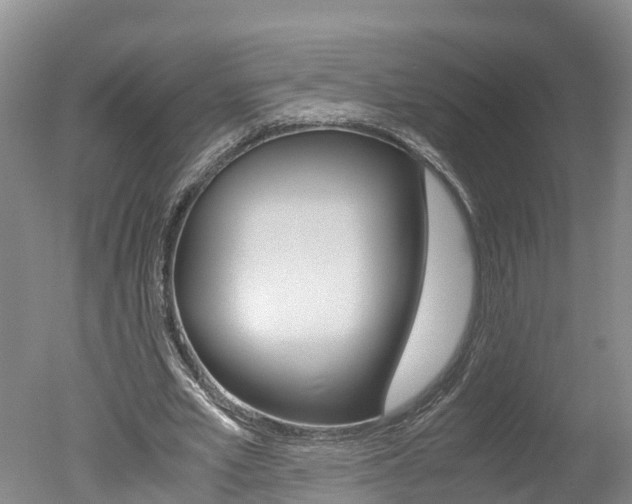 X0000051250581200506170844