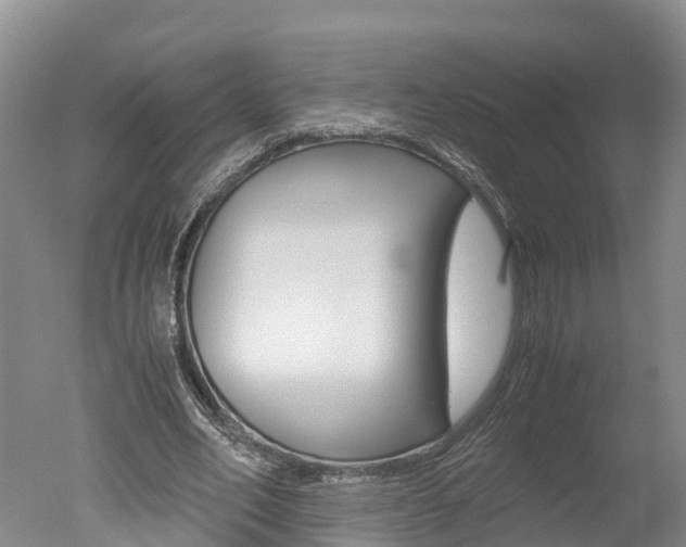 X0000051250582200506170844