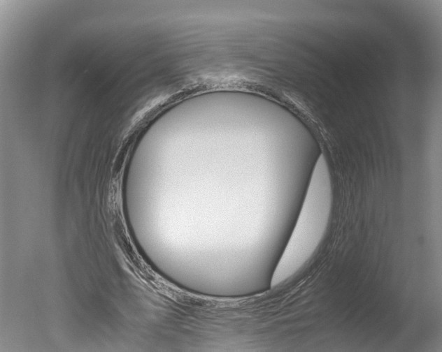 X0000051250583200506170844